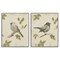 Stupell Industries Neutral Bird Scene 2pc Framed Giclee Set, design by Lanie Loreth